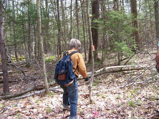 Trail Blazing at Grafton State Park, NY.