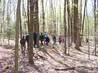 Trail Blazing at Grafton State Park, NY.