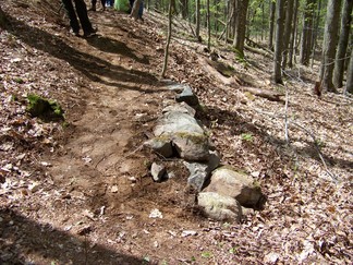 Trail Blazing at Grafton State Park, NY.
