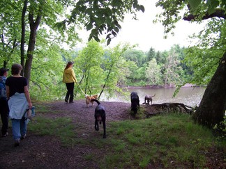 Peeble's Island State Park, NY.