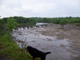 Peeble's Island State Park, NY.