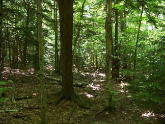 Escarpment Loop, North South Lake, NY.