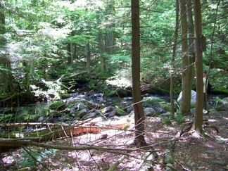 Escarpment Loop, North South Lake, NY.