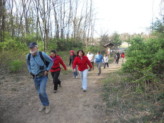 Blueberry Hill East, Pine Bush Park, Albany, NY.