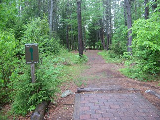 Hike around Lake Tully, NY.