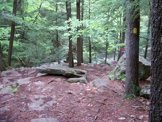 Hike around Lake Tully, NY.