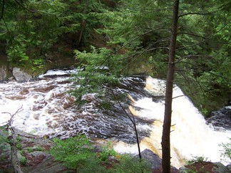 Hike around Lake Tully, NY.