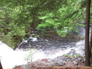 Hike around Lake Tully, NY.