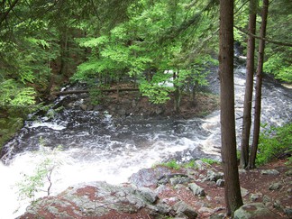 Hike around Lake Tully, NY.