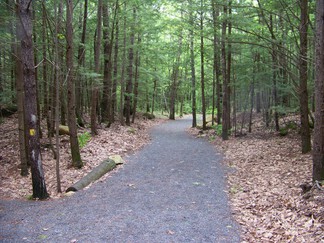Hike around Lake Tully, NY.