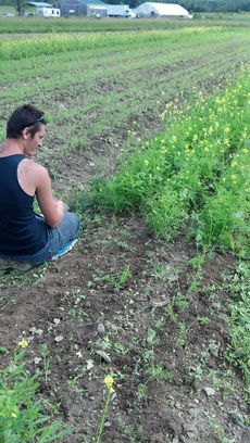 Regional Food Bank's Patroon Farm.