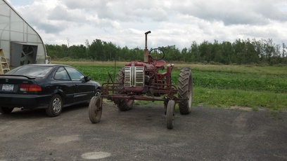 Regional Food Bank's Patroon Farm.