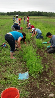 Regional Food Bank's Patroon Farm.