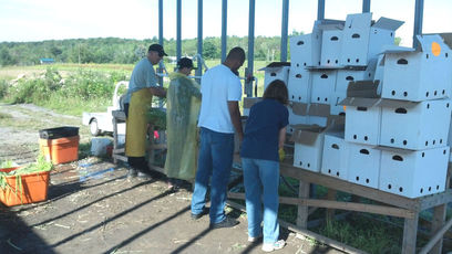 Regional Food Bank Patroon Farm, NY.