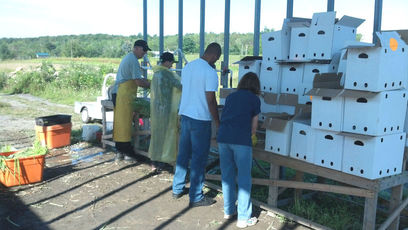 Regional Food Bank Patroon Farm, NY.