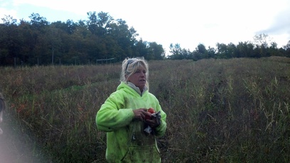 Regional Food Bank Patroon Farm, NY.