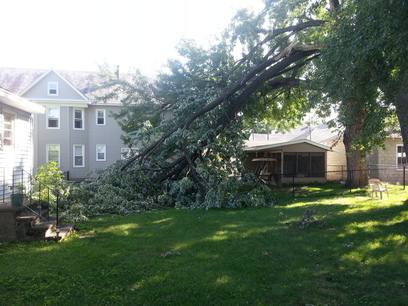 Neighbors tree down.