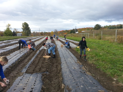 Patroon Land Farm.