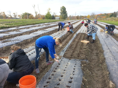 Patroon Land Farm.