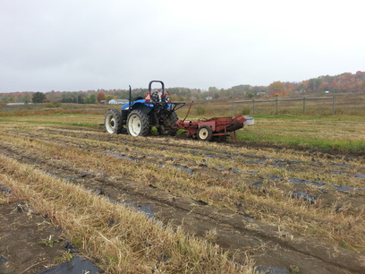 Patroon Land Farm.