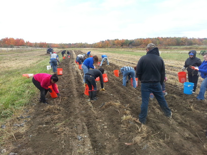 Patroon Land Farm.