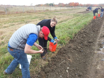 Patroon Land Farm.