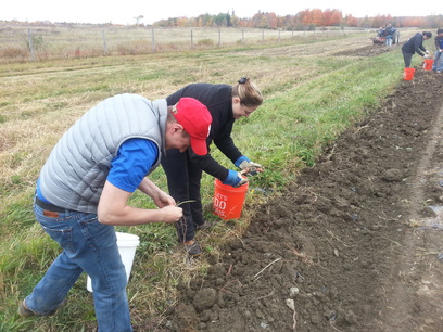 Patroon Land Farm.