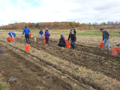 Patroon Land Farm.