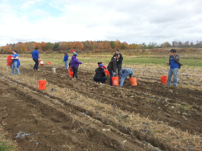 Patroon Land Farm.
