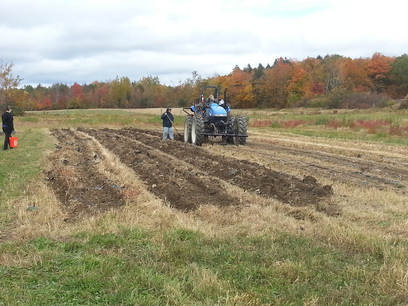 Patroon Land Farm.