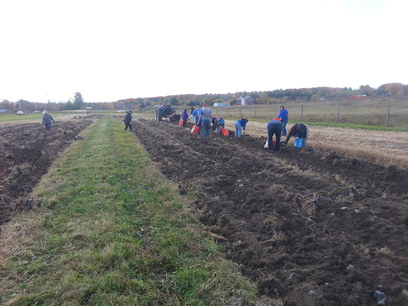 Patroon Land Farm.