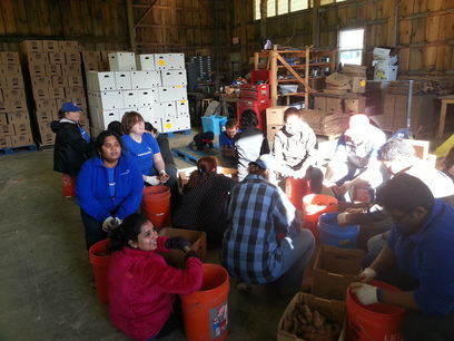 Patroon Land Farm.