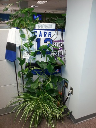 Brian's Cubicle.