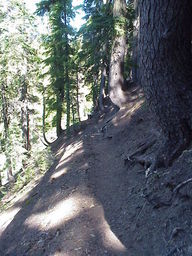 Annie Creek Trail.
