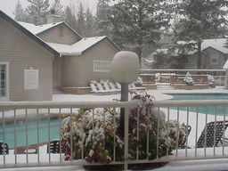 Autumn Chase snow.