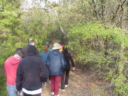 Meditation Walk.