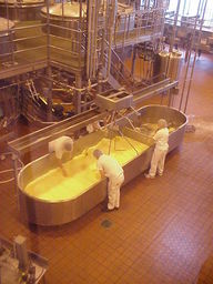 Tillamook Cheese Factory Demo.