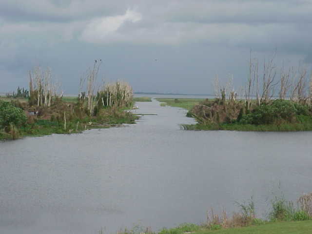 Lake Okeechobee.