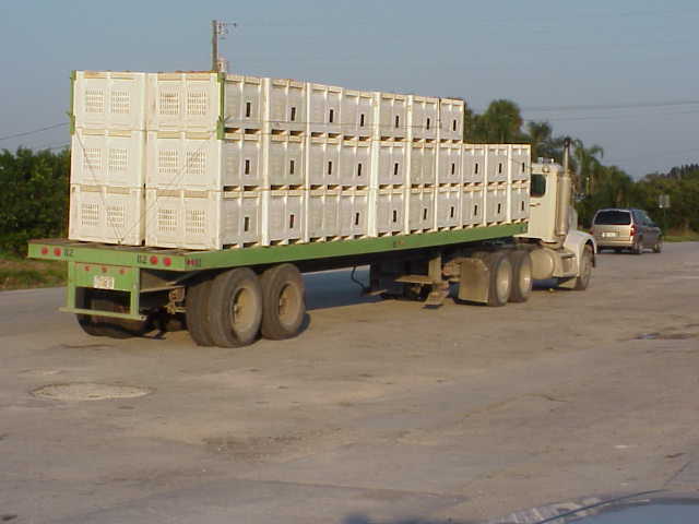 Tractor Trailer with packing bins at Carter's.