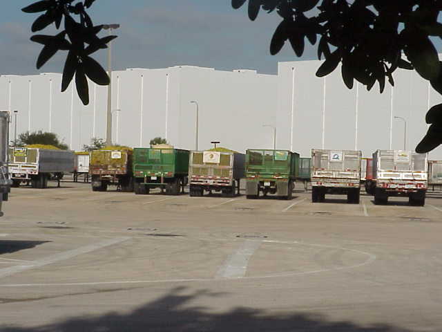 Rows of 'juice orange' trailers.