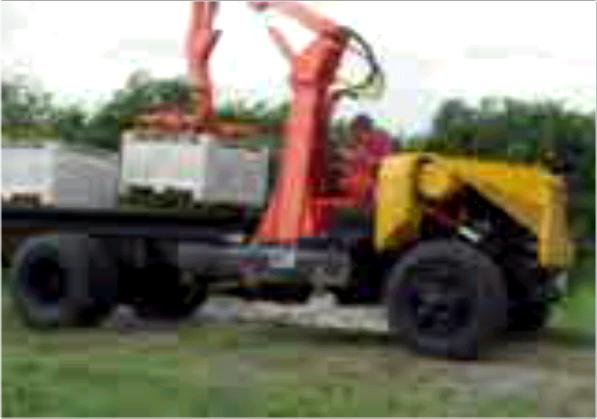 Louis loading bin of fruit.