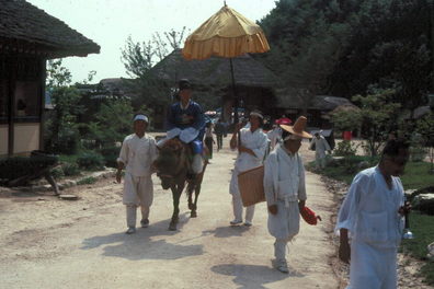 Groom of wedding party.