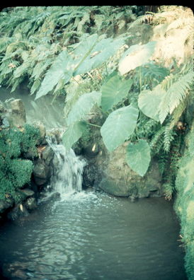 LA Botanical Garden.