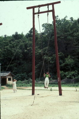 Korean Traditional Swing.