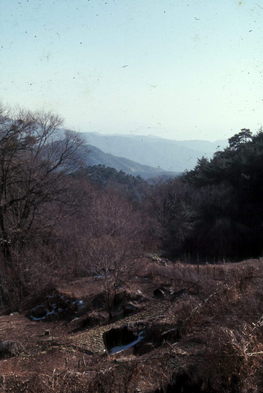 View from Dong Wah Sah.