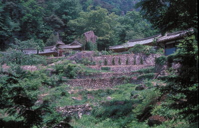 Terraced fields.