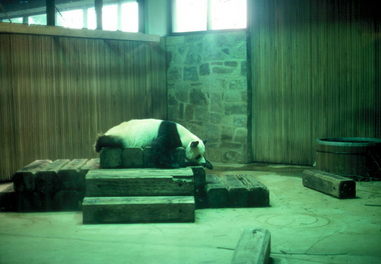 National Zoo.