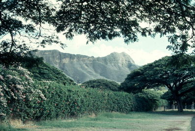 Hawaii zoo.