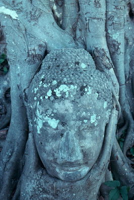 Ayuthaya ruins.