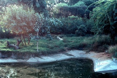 New Delhi Zoo.